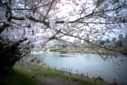 保科宗玄polaris12